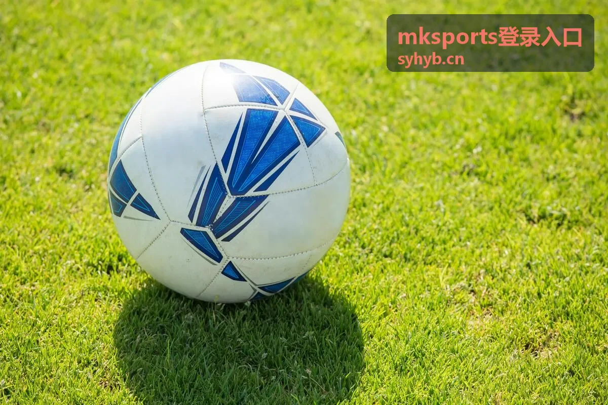 mksports登录入口首页最新资料
