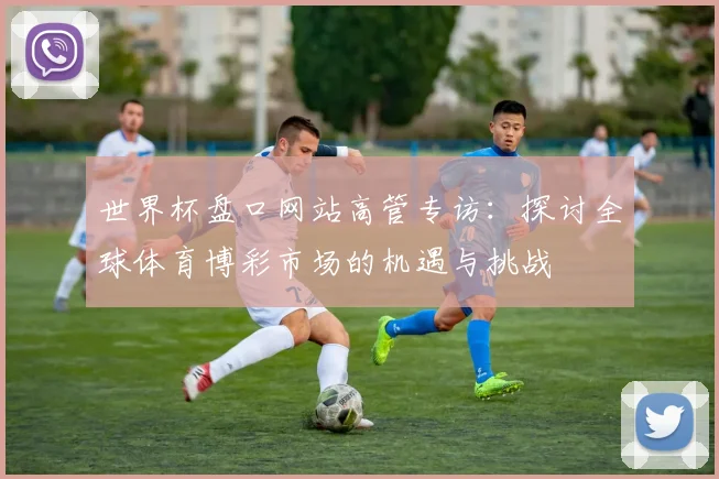 世界杯盘口网站高管专访:探讨全球体育博彩市场的机遇与挑战