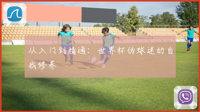 从入门到精通:世界杯伪球迷的自我修养