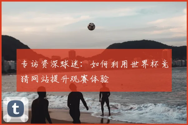 专访资深球迷：如何利用世界杯竞猜网站提升观赛体验
