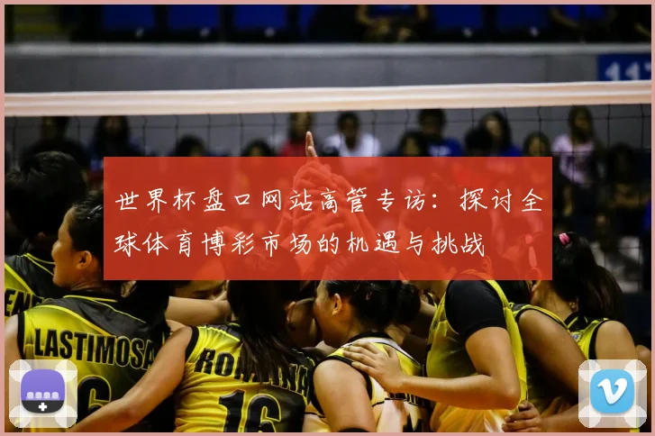 世界杯盘口网站高管专访:探讨全球体育博彩市场的机遇与挑战