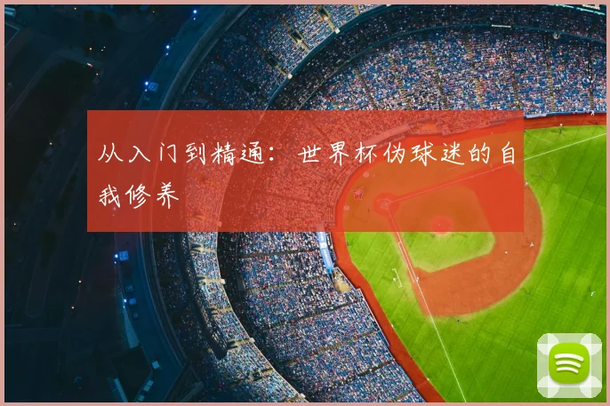 从入门到精通:世界杯伪球迷的自我修养