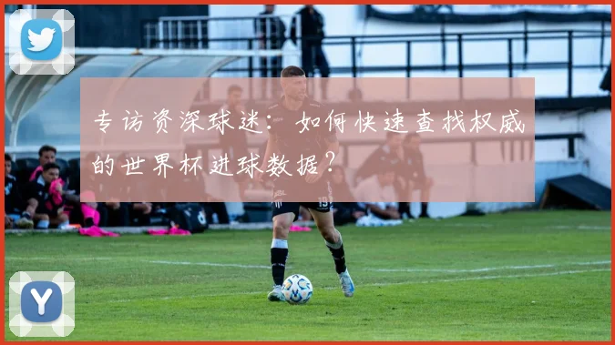 专访资深球迷：如何快速查找权威的世界杯进球数据？