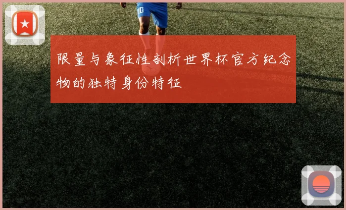 限量与象征性剖析世界杯官方纪念物的独特身份特征