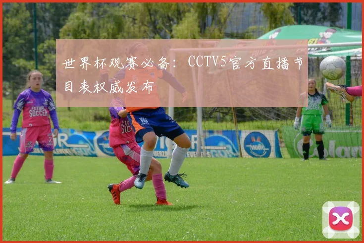 世界杯观赛必备:CCTV5官方直播节目表权威发布