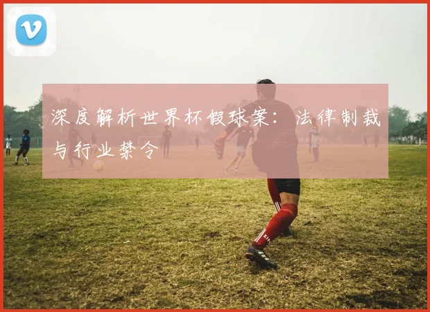 深度解析世界杯假球案：法律制裁与行业禁令