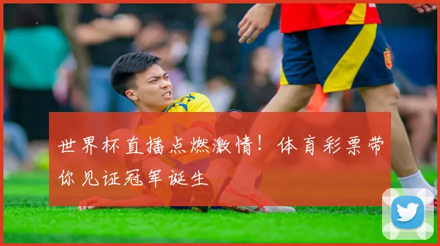 世界杯直播点燃激情！体育彩票带你见证冠军诞生