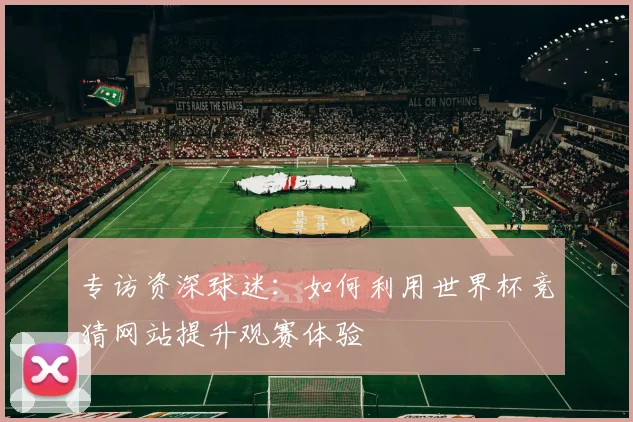 专访资深球迷：如何利用世界杯竞猜网站提升观赛体验